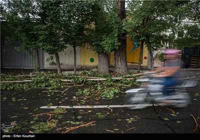 Tehran Gets Hit with Summer Storm