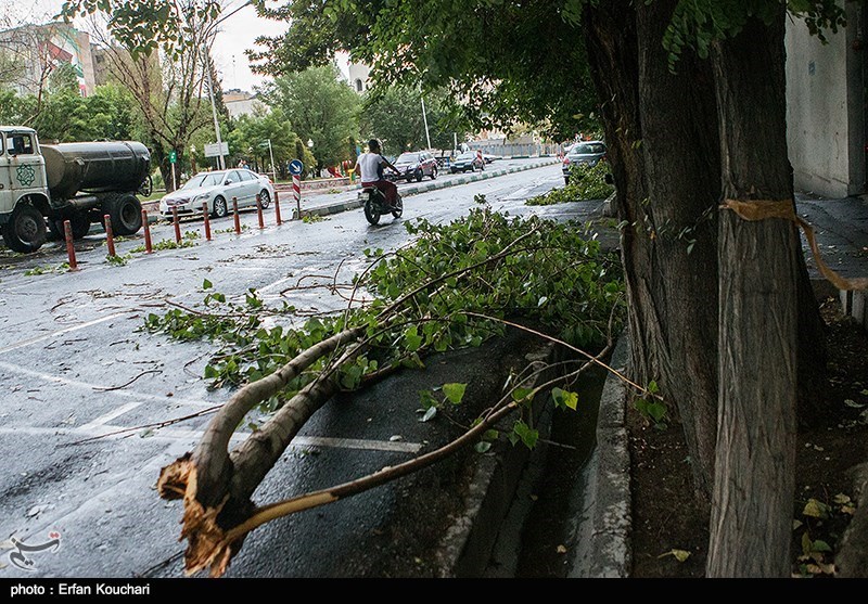 هشدار وقوع تندباد در تهران/ پیش بینی طوفان های &quot;بعدازظهری&quot; تا آخر هفته