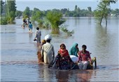 سندھ میں سیلابی ریلا، ہزاروں ایکٹر پر کھڑی فصلیں تباہ ہو گئیں