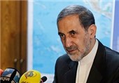 Leader’s Letter to Open New Chapter in Introduction of Islam: Velayati