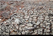 استمداد کشاورزان شرق اصفهان برای رسیدگی دولت به بحران آب
