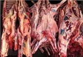 71 تن لاشه‌ گوشت در کشتارگاه‌های استان همدان ضبط و معدوم شد