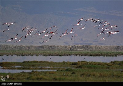 Iran’s Beauties in Photos: Kamjan Int’l Lagoon in Fars Province