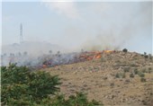 بیش از 800 هکتار از مراتع و جنگل‌های استان مرکزی در آتش سوخت