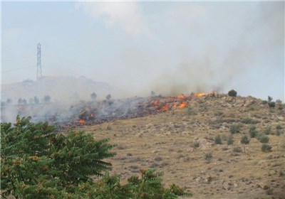 بیش از ۸۰۰ هکتار از مراتع و جنگل‌های استان مرکزی در آتش سوخت