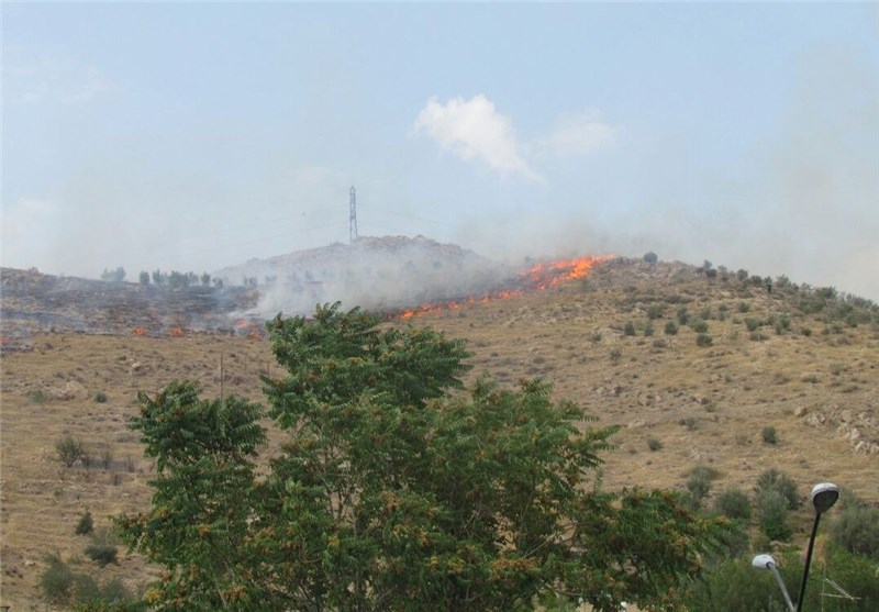 جنگل‌های &quot;کوه باغله&quot; شهرستان پلدختر در آتش سوخت‌