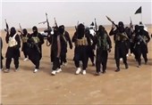 یگان‌های داعش چند لشکر هستند؟