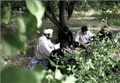 مدرسه شبانه‌روزی حفظ قرآن برای آبادانی‌ها افتتاح شد + فیلم