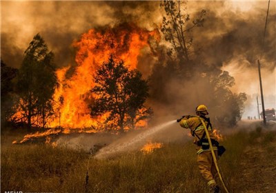 امکانات آذربایجان شرقی برای مهار آتش‌سوزی احتمالی در جنگل‌ها کافی نیست