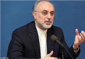 JCPOA Not to Hamper Iran Nuclear Industry’s Progress: AEOI Chief