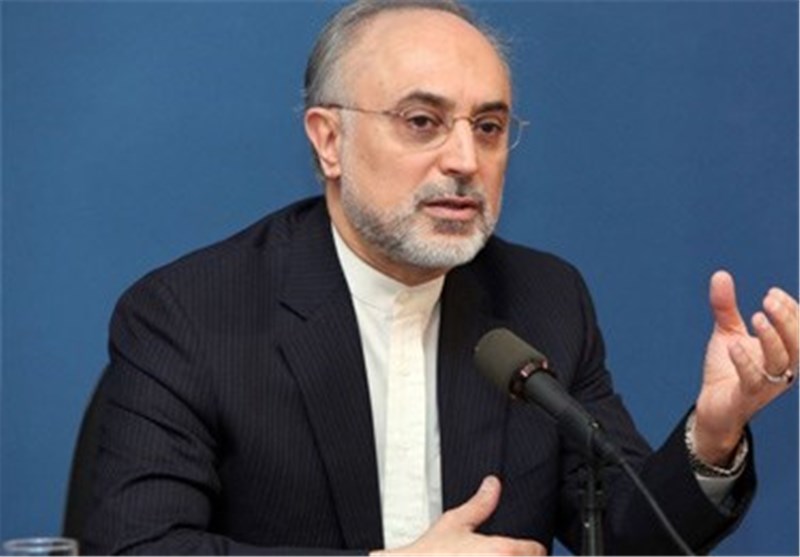Iran Eying Commercial Nuclear Activities: AEOI Chief