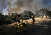 42 هکتار از مراتع دهاقان بر اثر بی‌احتیاطی دامداران در آتش سوخت‌