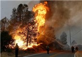 13 هزار مترمربع از پوشش گیاهی پارک ملی بوجاق در آتش سوخت