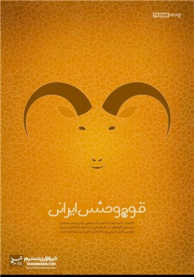 پوستر/ قوچ وحشی ایرانی