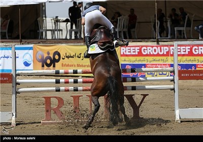 Show Jumping Competitions Held in Iran’s Isfahan