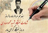 ‌فیلم «ایستاده در غبار» برای اصحاب رسانه استان قزوین اکران می‌شود