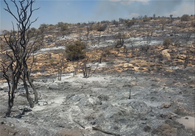 آتش‌سوزی جنگل‌های فیروزآباد به طور کامل مهار شد