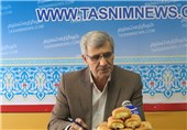 مدیرکل امور عشایر خراسان‌رضوی از دفتر خبرگزاری تسنیم بازدید کرد