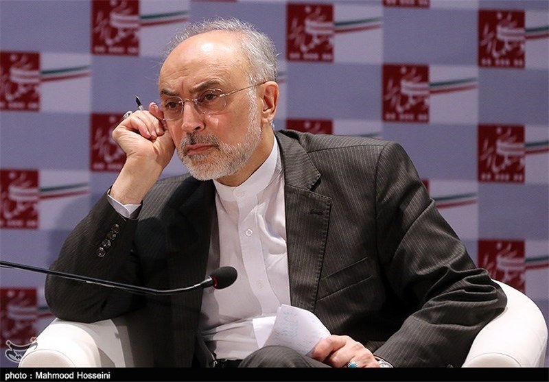 AEOI Chief: Iran Plans to Construct 2 More Nuclear Reactors