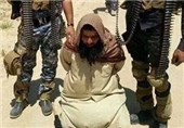 دستگیری چند تروریست داعشی در اردوگاه عین الحلوه لبنان