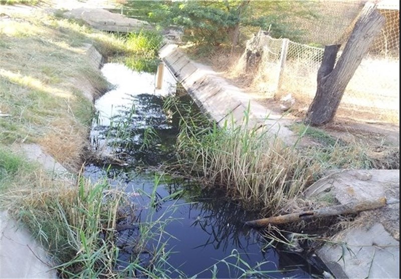 فاضلاب‌های خانگی مهمترین دلیل آلودگی آب حاشیه شهر مشهد است‌