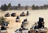 فروشگاه تجهیزات نظامی داعش+تصاویر