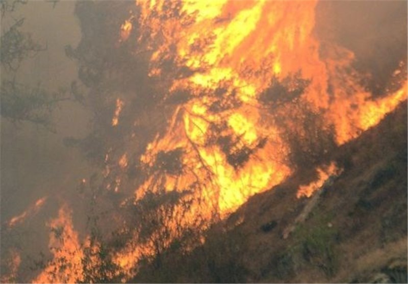 آتش سوزی بار دیگر مراتع اراک را در کام خود گرفت‌