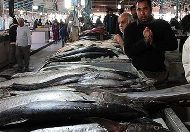 بازار فروش ماهی در استان‌ گیلان نیازمند ساماندهی است