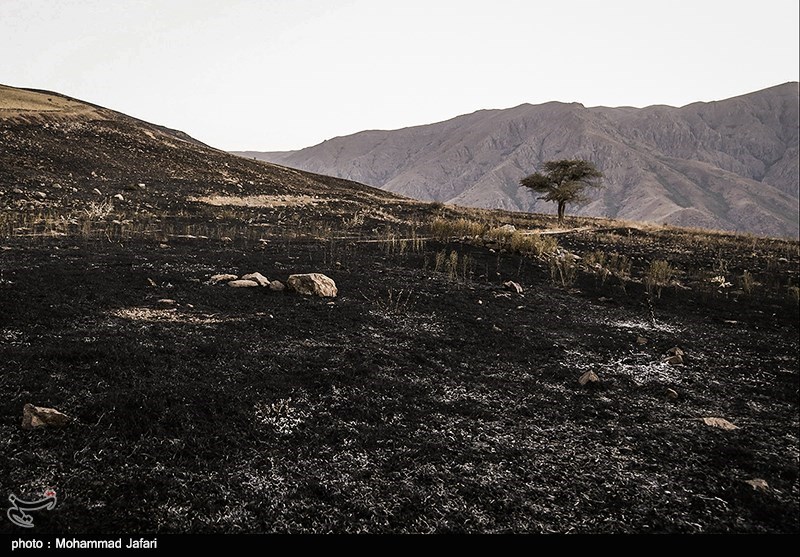 عامل انسانی در وقوع 95 درصد از آتش سوزی‌ اراضی ملی در استان سمنان دخیل است
