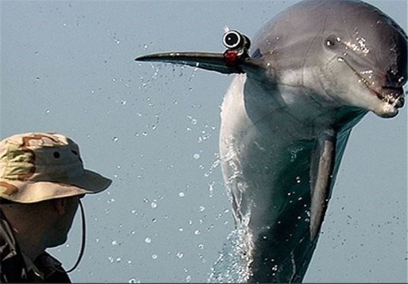 دلفین جاسوسِ اسرائیلی به دام حماس افتاد