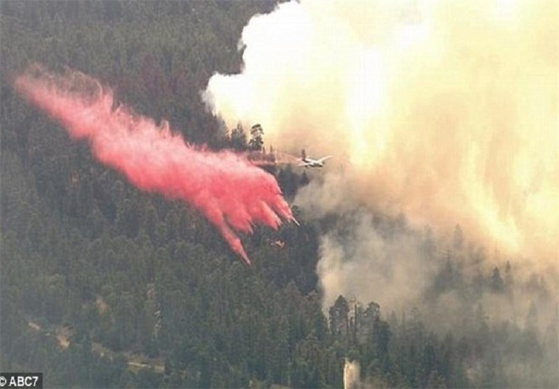 آتش سوزی گسترده در جنگل‌های کالیفرنیا+ عکس