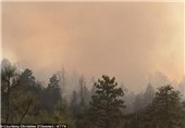 3 هکتار از جنگل‌های سیروان در آتش سوخت