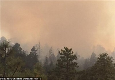 3 هکتار از جنگل‌های سیروان در آتش سوخت
