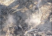 گذشت 4 روز و مهار 20 درصدی آتش در دریاچه پریشان کازرون