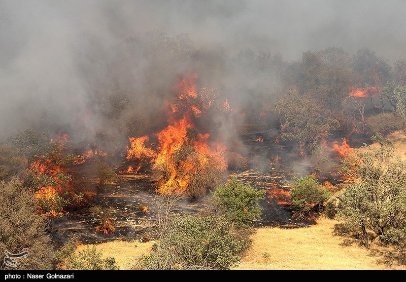 411 هکتار از مراتع همدان در آتش سوخت