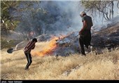 حاشیه‌های آتش‌سوزی در تنگ بلاغی پاسارگاد مهار شد/ امدادگران در تلاش برای مهار میانه آتش