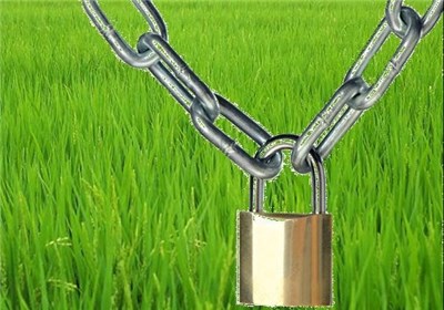 مدارک زیادی برای آلوده دانستن محصولات تراریخته وجود دارد