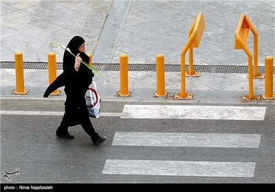 Iranians Celebrate Imam Reza's Birthday