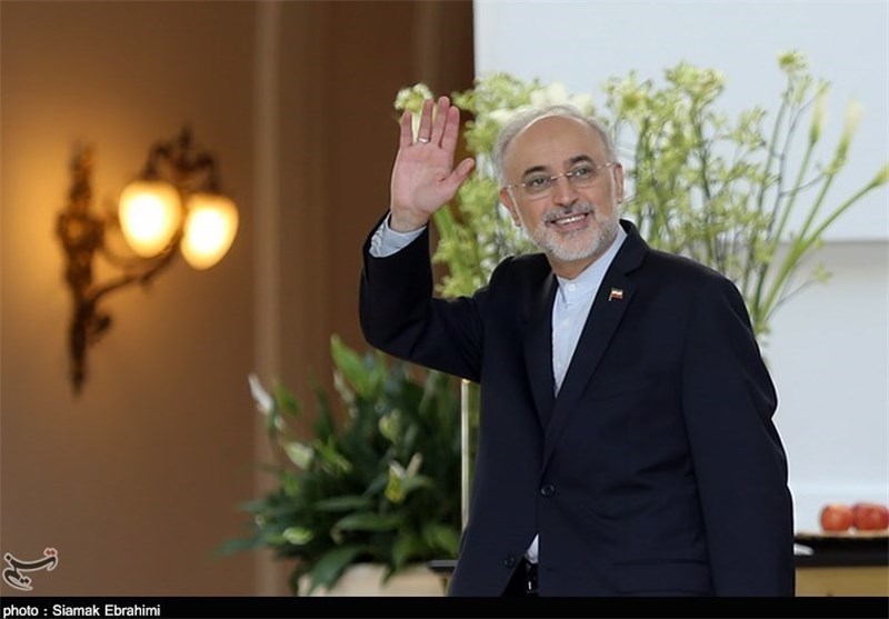 Iran’s Salehi in Vienna to Attend IAEA Annual Conference