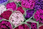 بازار گل در استان کرمان ایجاد شود