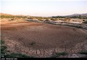 کابوس خشکسالی در انتظار باغات زیتون و زردآلوی زنجان/کاهش 50 درصدی آب رودخانه قزل اوزن