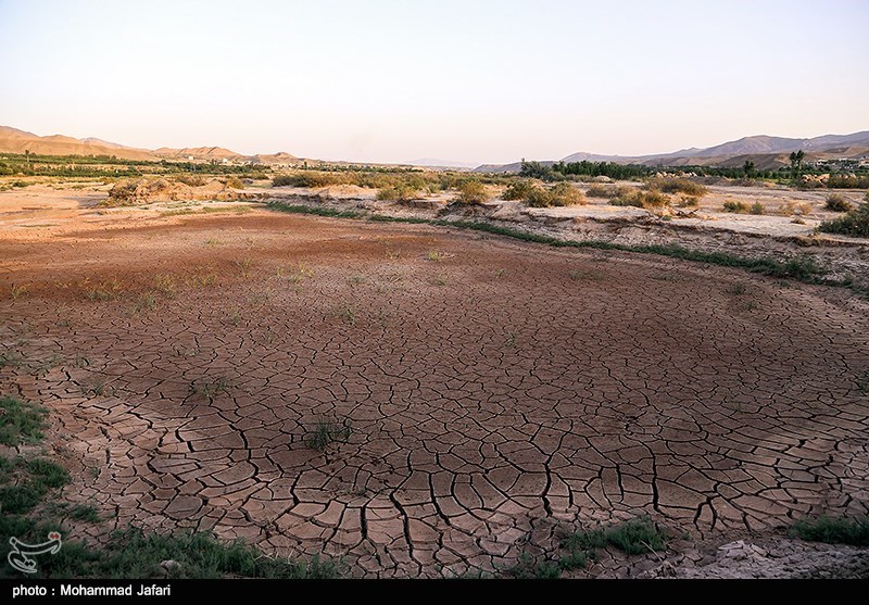 کابوس خشکسالی در انتظار باغات زیتون و زردآلوی زنجان/کاهش 50 درصدی آب رودخانه قزل اوزن