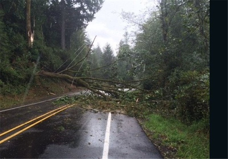 2 Killed as Storm Downs Power Lines, Trees in Washington State