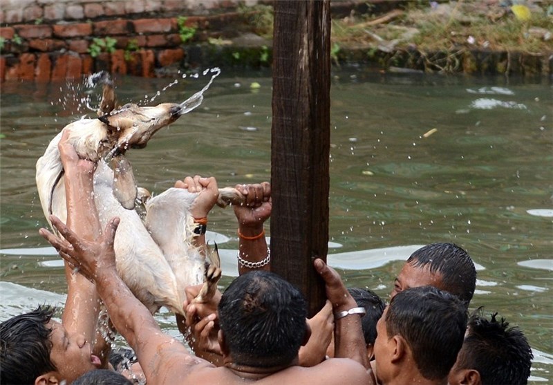 فستیوال وحشیانه زجرکش کردن حیوانات در نپال + تصاویر