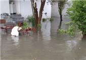 عکس/بارش شدید باران و آب گرفتگی معابر ساری