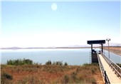 تالاب‌های نقده امید به احیا دریاچه ارومیه را زنده نگه داشته‌اند