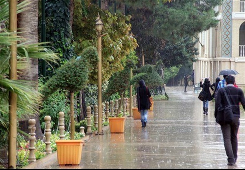 بارش باران و تگرگ مدارس استان بوشهر در نوبت بعدازظهر را تعطیل کرد