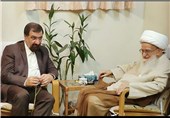 دبیر مجمع تشخیص نظام با آیت الله صافی گلپایگانی دیدار کرد