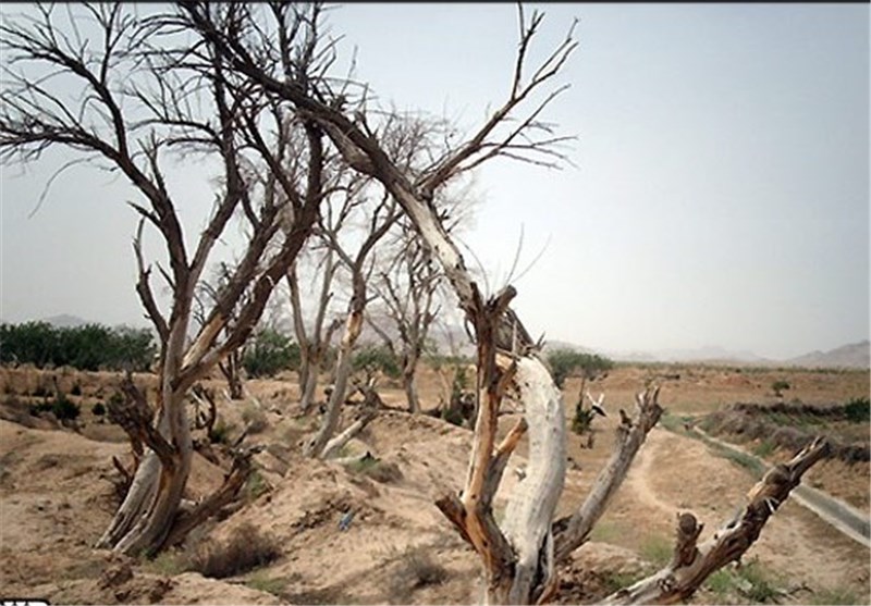 45 کشور جهان در معرض خشکسالی طی 30 سال آینده /ایران چهارمین کشور در خطر