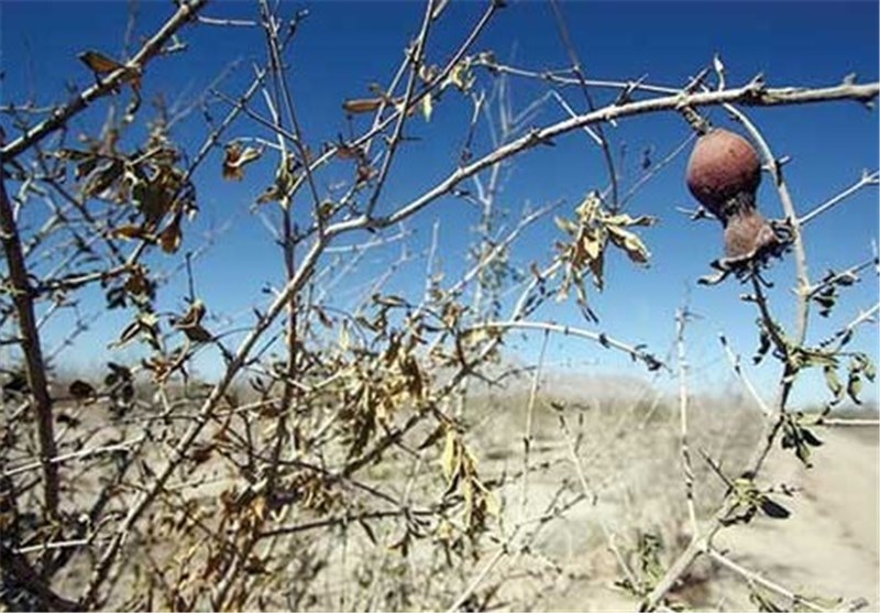 خشکسالی منطقه ارسباران تا 15 سال آینده ادامه داد